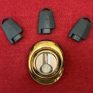 DEFENDER MAGNETICO MOTTURA PER SERRATURA PROFILO EUROPEO FINITURA ORO DF371 INTERSASSE 38MM