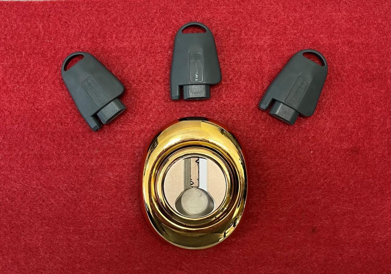 DEFENDER MAGNETICO MOTTURA PER SERRATURA PROFILO EUROPEO FINITURA ORO DF371 INTERSASSE 38MM