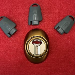 DEFENDER MAGNETICO MOTTURA PER SERRATURA DOPPIA MAPPA BRONZO DF43
