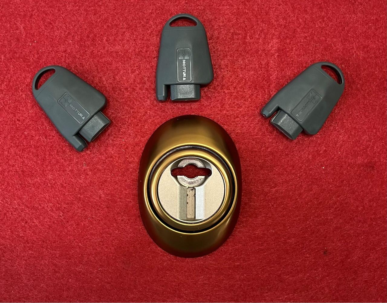 DEFENDER MAGNETICO MOTTURA PER SERRATURA DOPPIA MAPPA BRONZO DF43