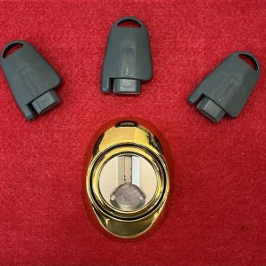 DEFENDER MAGNETICO MOTTURA PER SERRATURA DOPPIA MAPPA ORO DF43