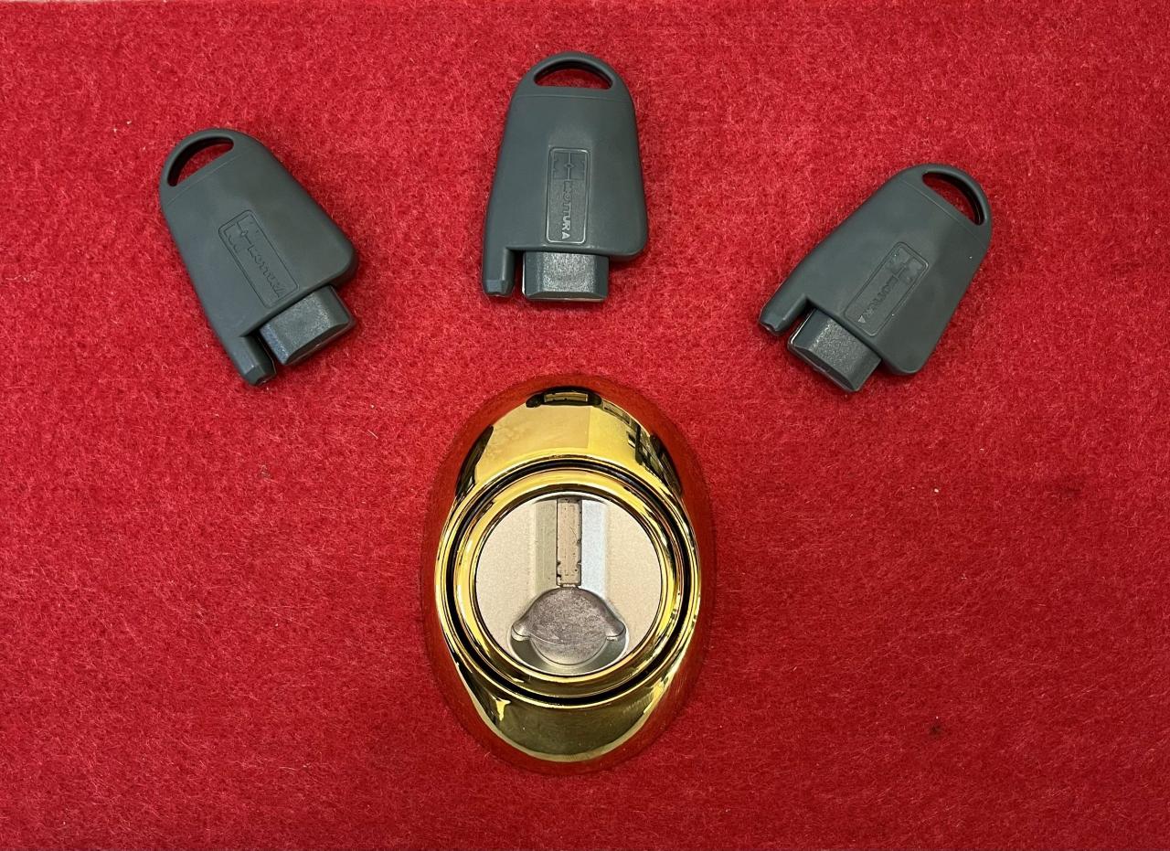 DEFENDER MAGNETICO MOTTURA PER SERRATURA DOPPIA MAPPA ORO DF43
