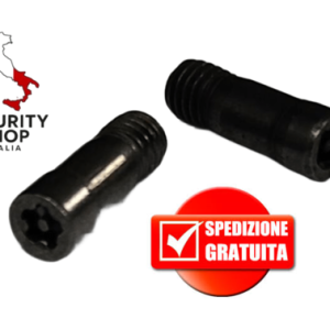 Coppia Viti di Fissaggio Moduli Cilindri Profilo Europeo Evva