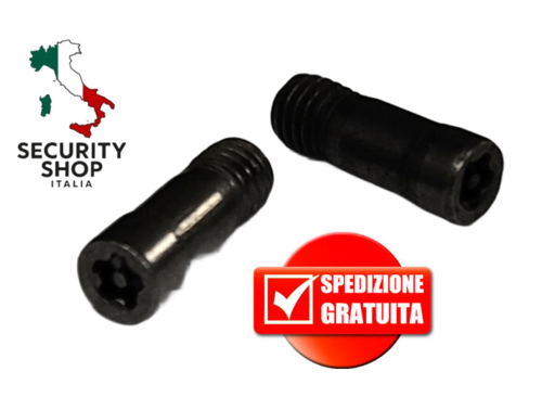 Coppia Viti di Fissaggio Moduli Cilindri Profilo Europeo Evva